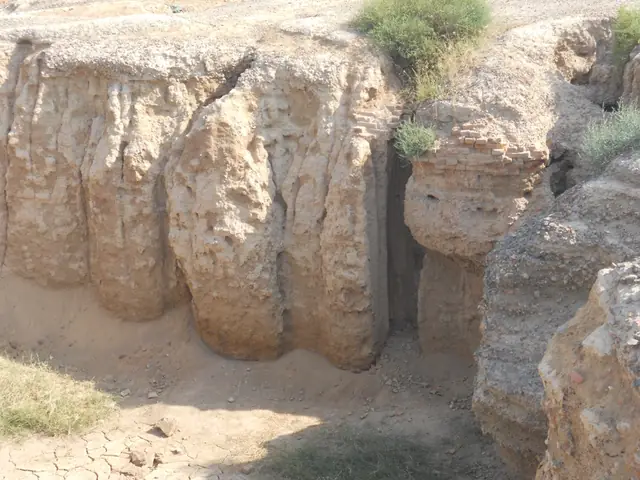 Fire altars of Kalibangan
