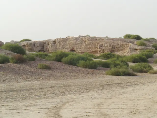 The ploughed field at Kalibangan