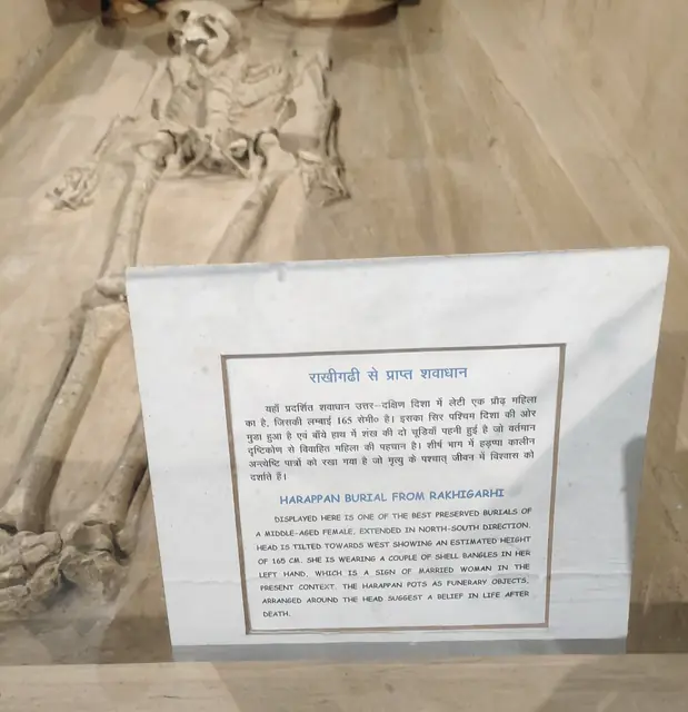 The Rakhigarhi genome