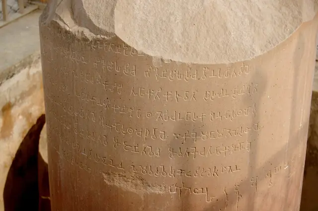 The Brahmi family of scripts