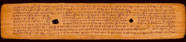 The Aranyakas