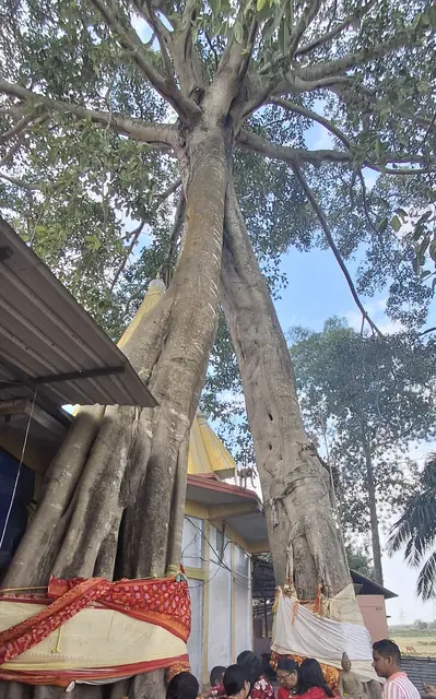 Bhramari Devi Temple (Trisrota Shakti Peetha), Jalpaiguri