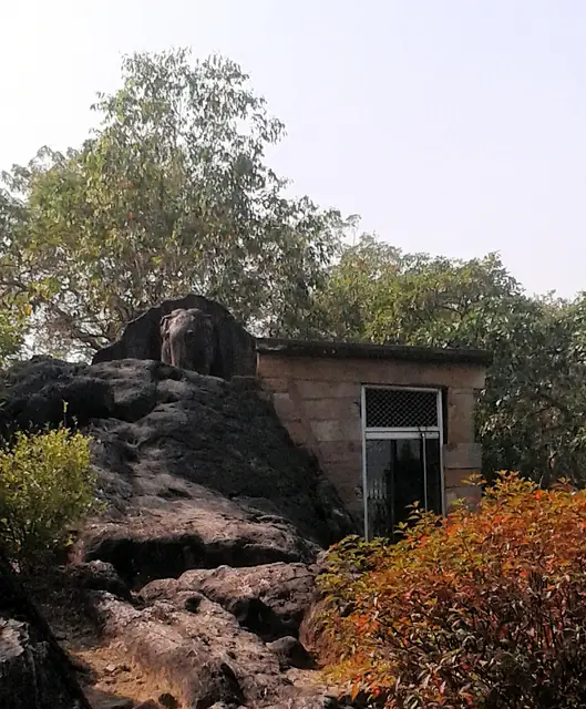 Dhauli