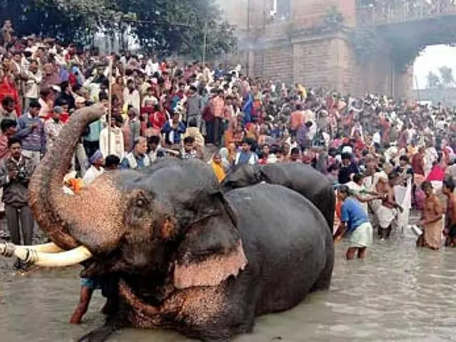 Harihar Nath Temple, Sonepur