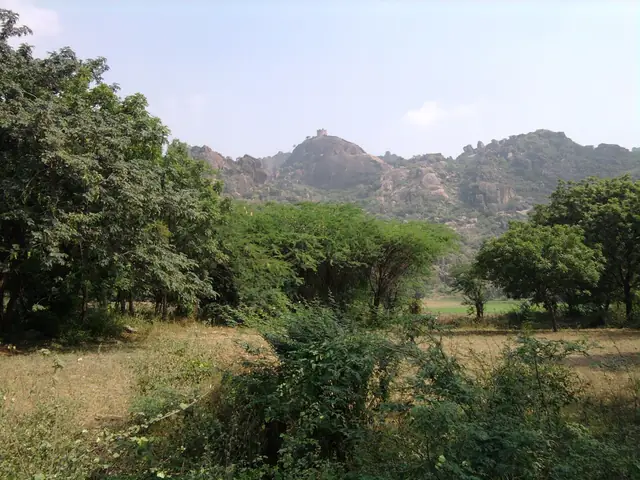 Kondavidu Fort