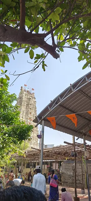 Ksheerarama, Ksheera Ramalingeswara Temple, Palakollu