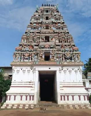Paridhiyappar (Bhaskareswarar) Temple, Paridhiniyamam (Paruthiappar Koil)