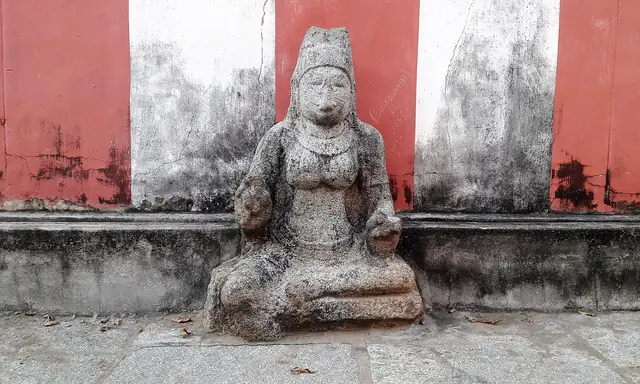 Naganathaswamy Temple, Thirunageswaram (Rahu)