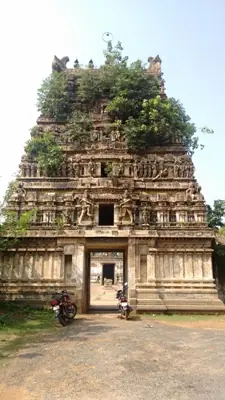 Uchiravaneswarar (Thuraikattum Vallalar) Temple, Tiruvilanagar